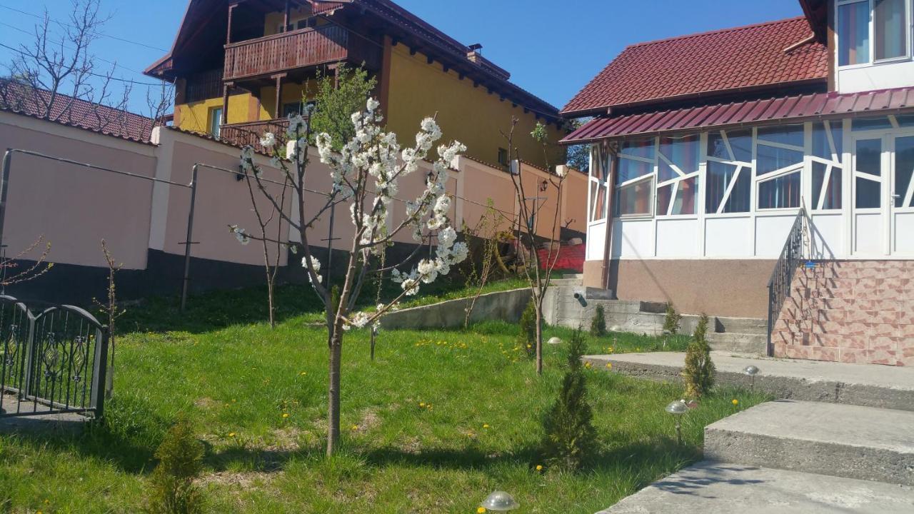 Casele Lena Bed and Breakfast Aldesti  Eksteriør billede